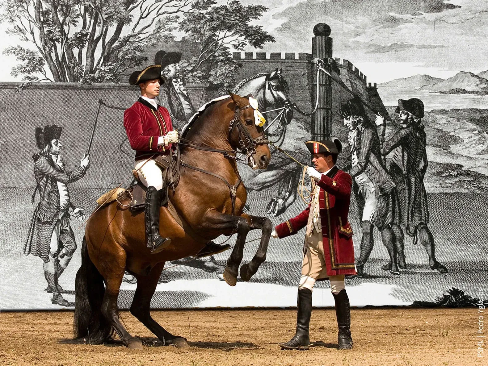 Rider from the Portuguese School of Equestrian Art (EPAE) performing a haute école exercise (a courbette or in-hand cabriole).